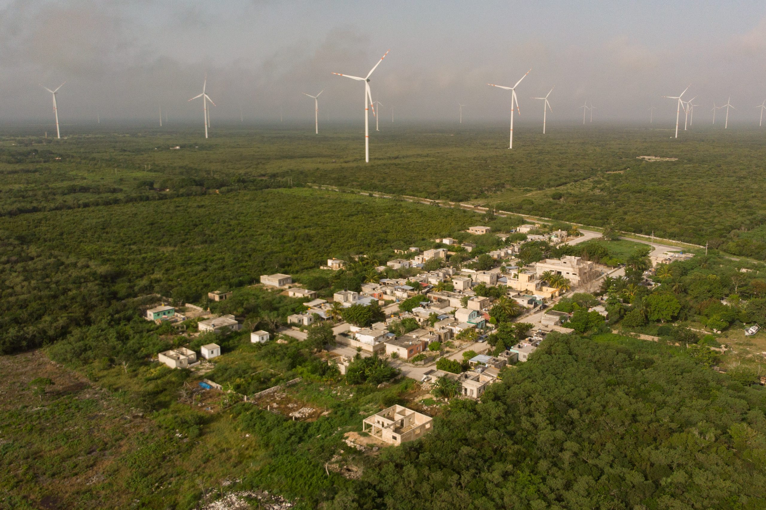 aerial view of houses surrounded by greenery and windmills