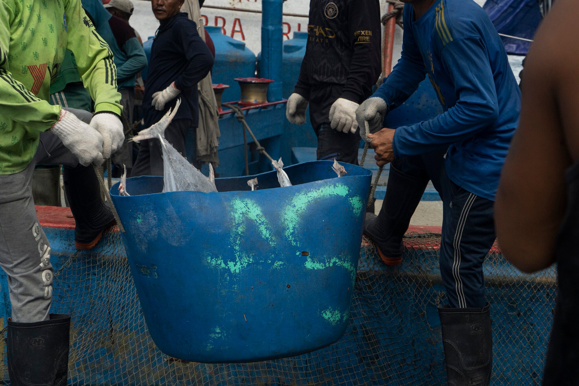 Workers on an industrial fishing vessel unload buckets of frozen skipjack tuna at the port of Benoa in Bali. Business licences are mandatory for vessels like this to operate in Indonesian waters