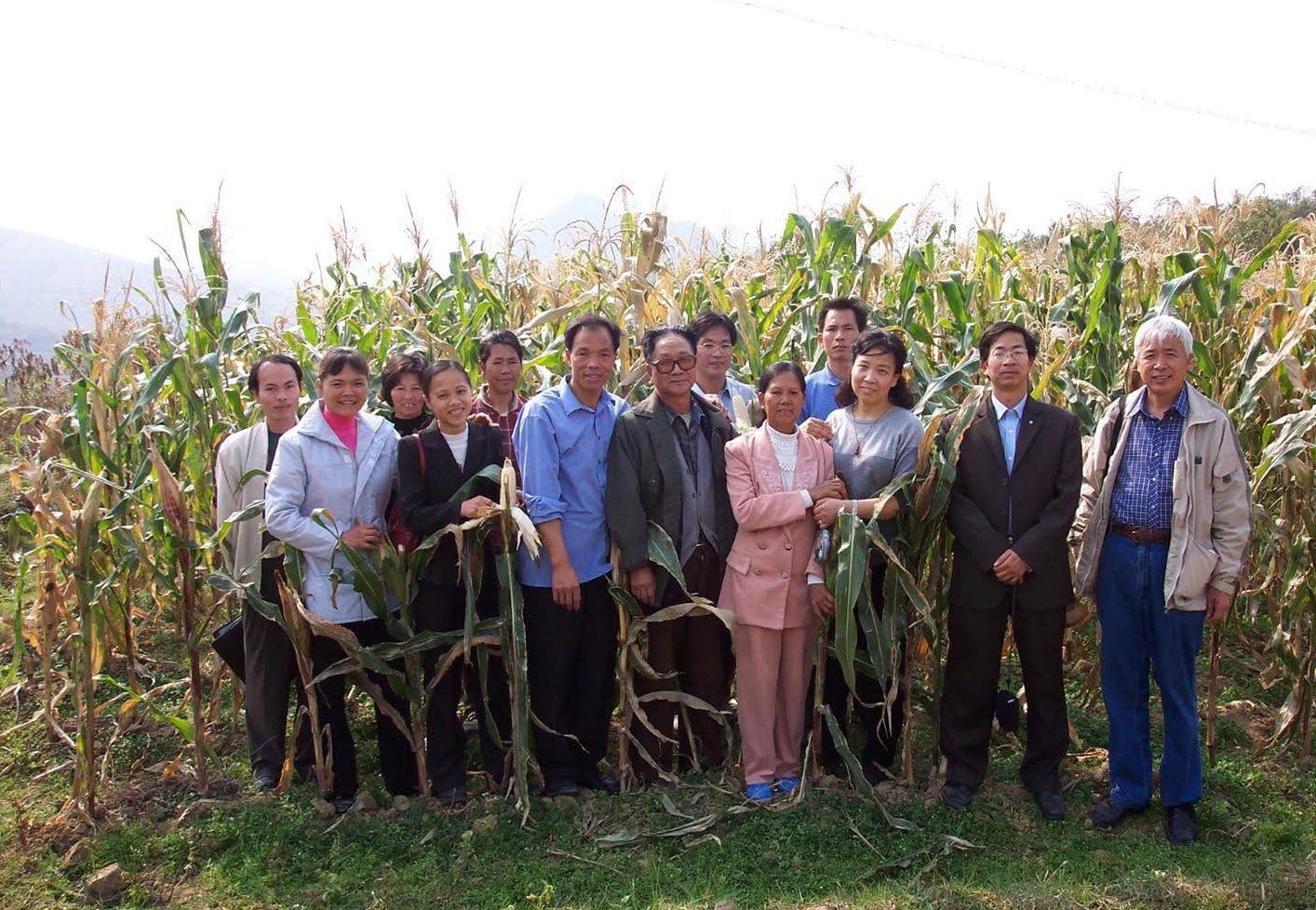 Shanggula village was the first to join the “participatory seed breeding project”