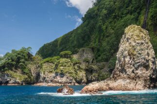 Rocas y selva tropical costera en el Parque Nacional de isla cocos en Costa Rica
