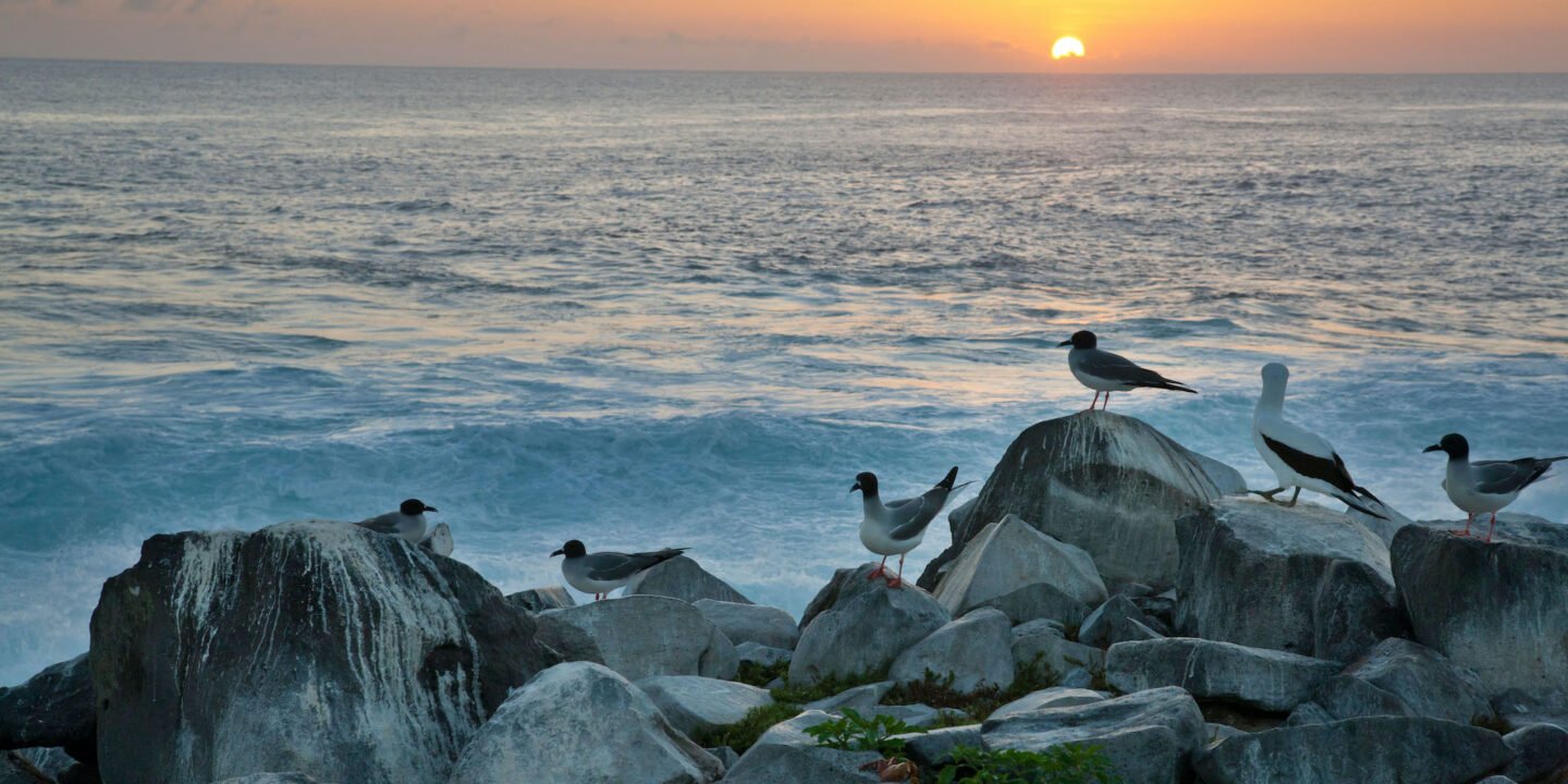 <p>Costas de Puerto Suárez, Isla Española, parte de las Galápagos en Ecuador. El país sudamericano, que es un gran deudor bilateral de China, anunció recientemente una nueva área marina protegida alrededor de las islas, financiada por un canje de deuda por naturaleza (imagen: Alamy)</p>