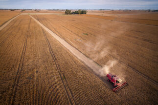 Vista aérea de cosecha de maíz en Buenos Aires, Argentina