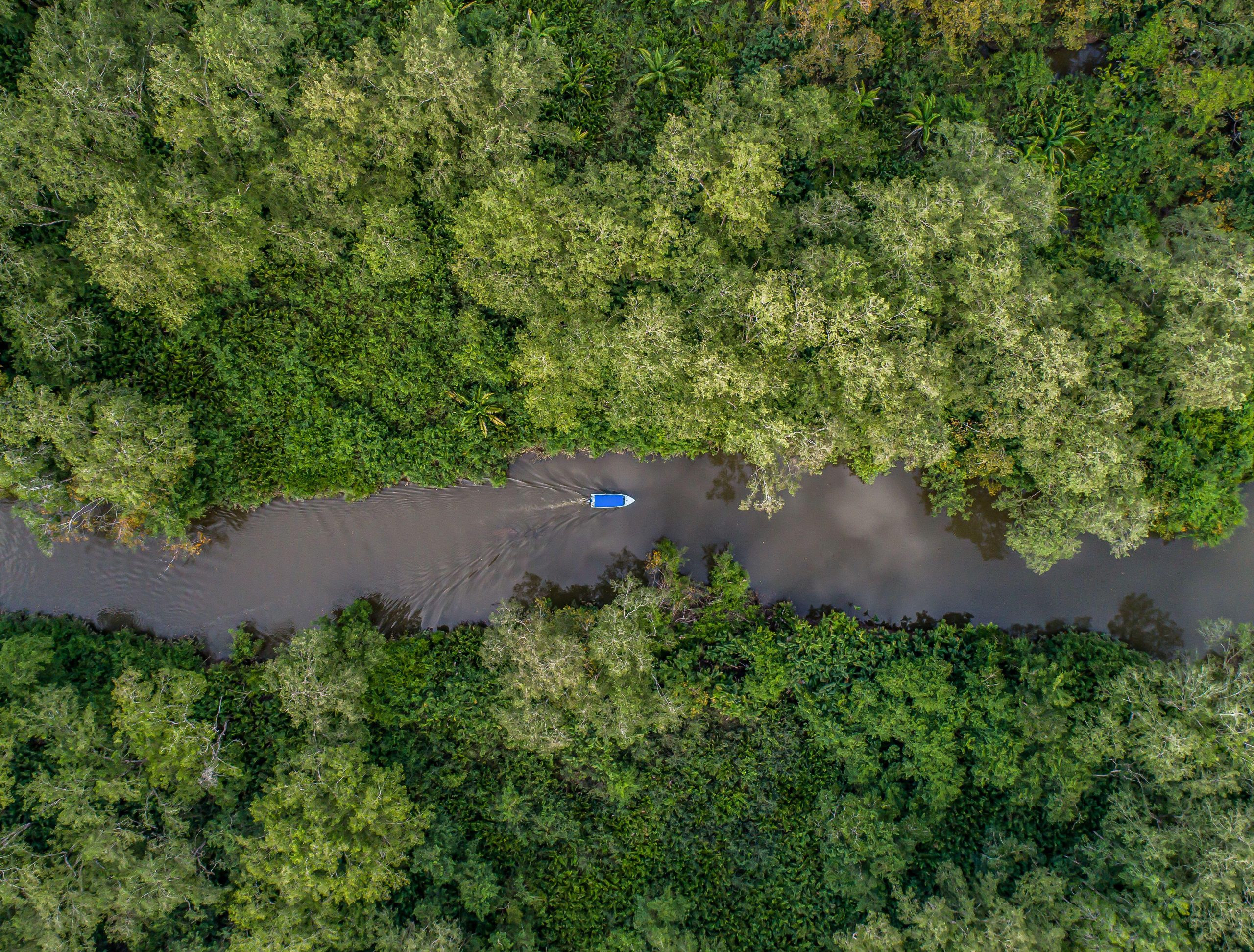 vista aérea de un embarcación en un río rodeados de vegetación