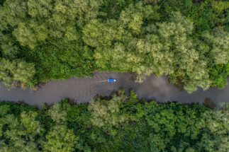 Aerial view of a boat passing through a forest along the Sierpe River in Costa Rica.