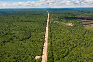 Vista aérea de una carretera en el medio del bosque seco chiquitano en Bolivia
