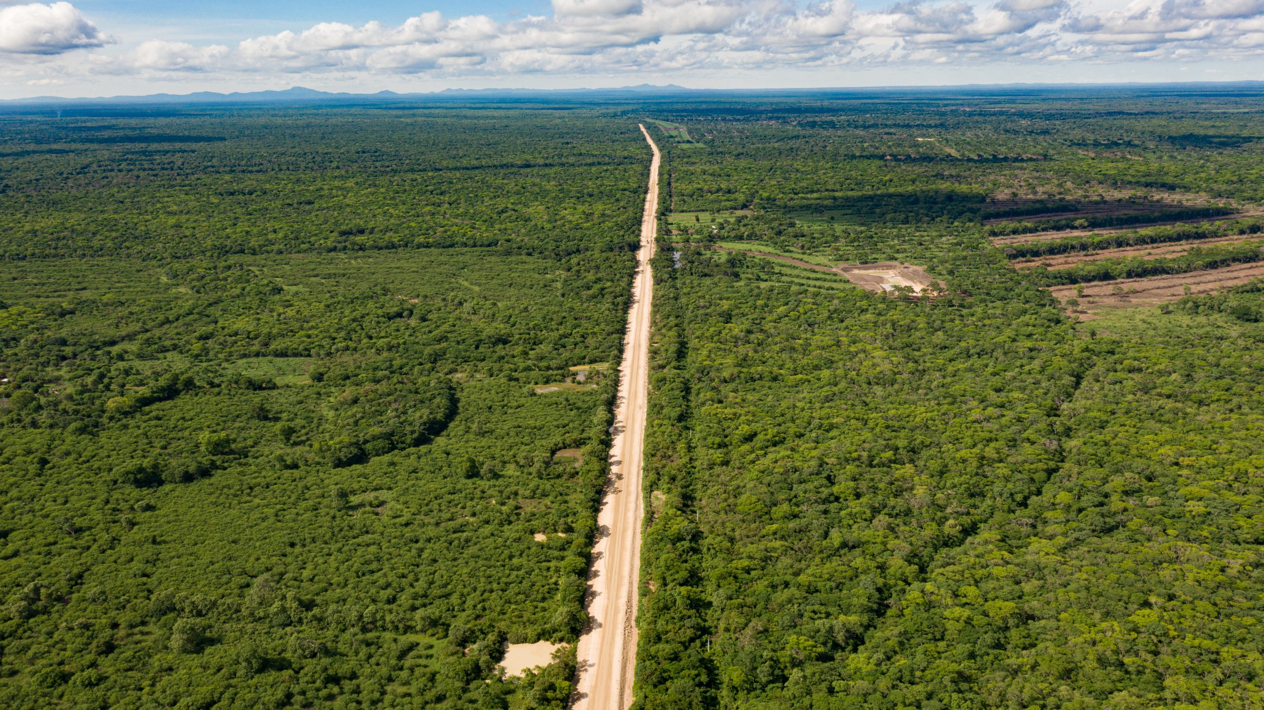 Vista aérea de una carretera en el medio de un bosque