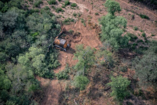 Vista aérea de una topadora desmontando una zona de bosque en Chaco, Argentina
