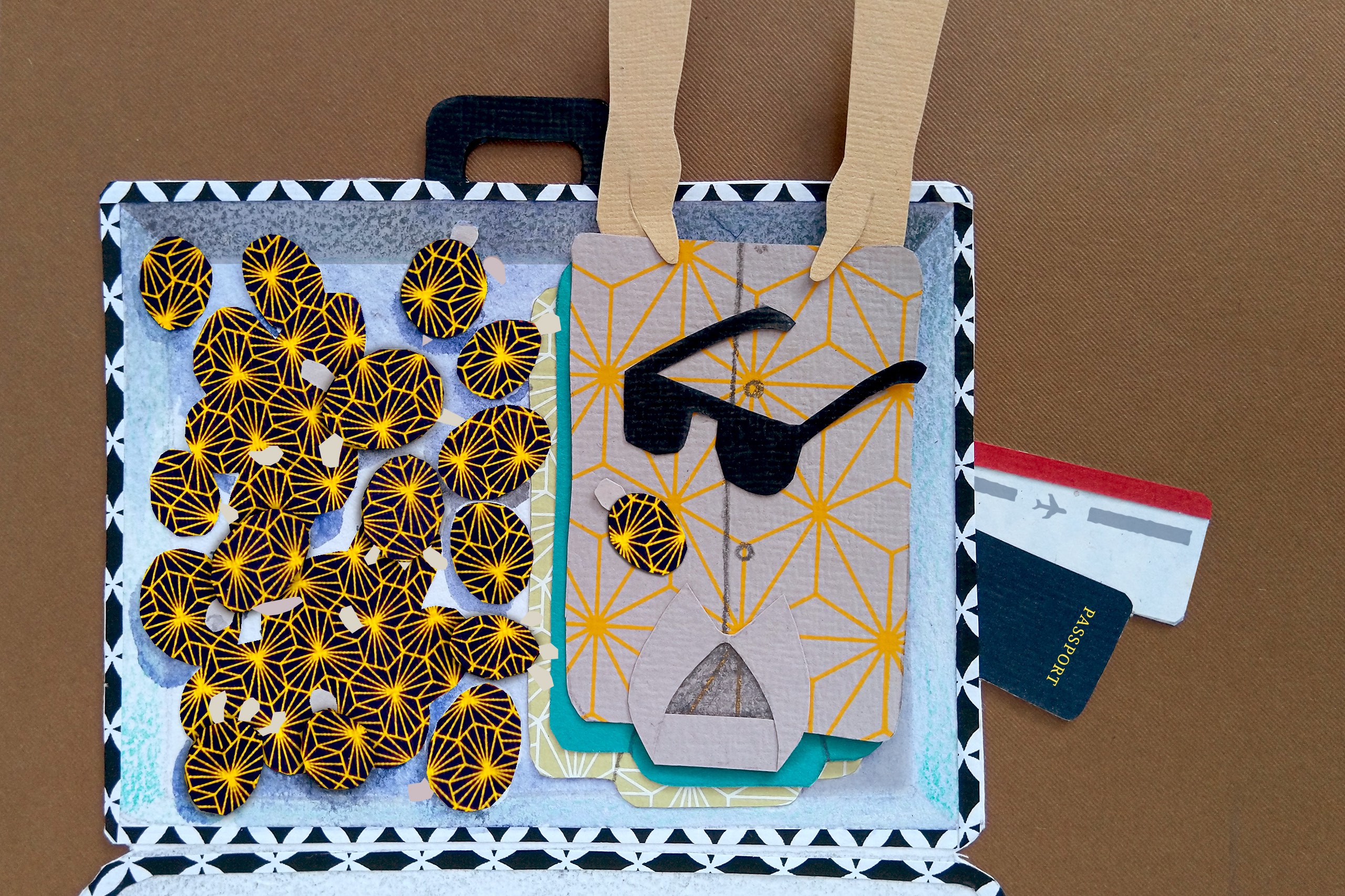 Indian star tortoise in suitcase