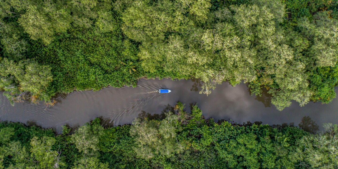 A boat crosses a river amidst vegetation