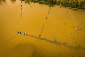 <p>Vietnamese fishers catch fish by hand in the Mekong Delta during the flood season. Livelihoods and ecosystems are sustained by the river, which is being irrevocably changed. (Image: Loc Huynh / Alamy)</p>