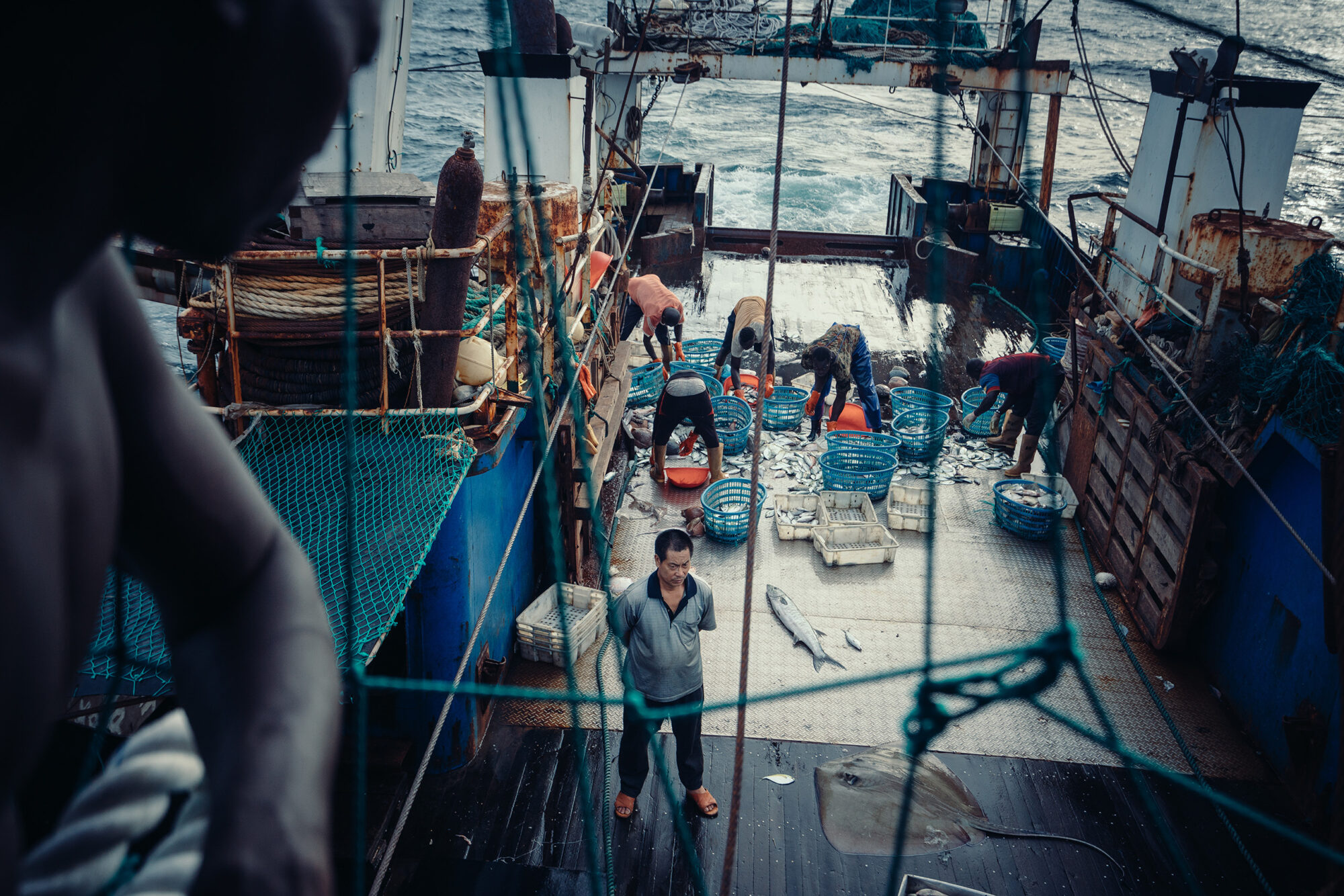 <p>Sailors sort their catch aboard a Chinese distant-water fishing vessel working in waters off the West African coast (Image © Liu Yuyang / Greenpeace)</p>