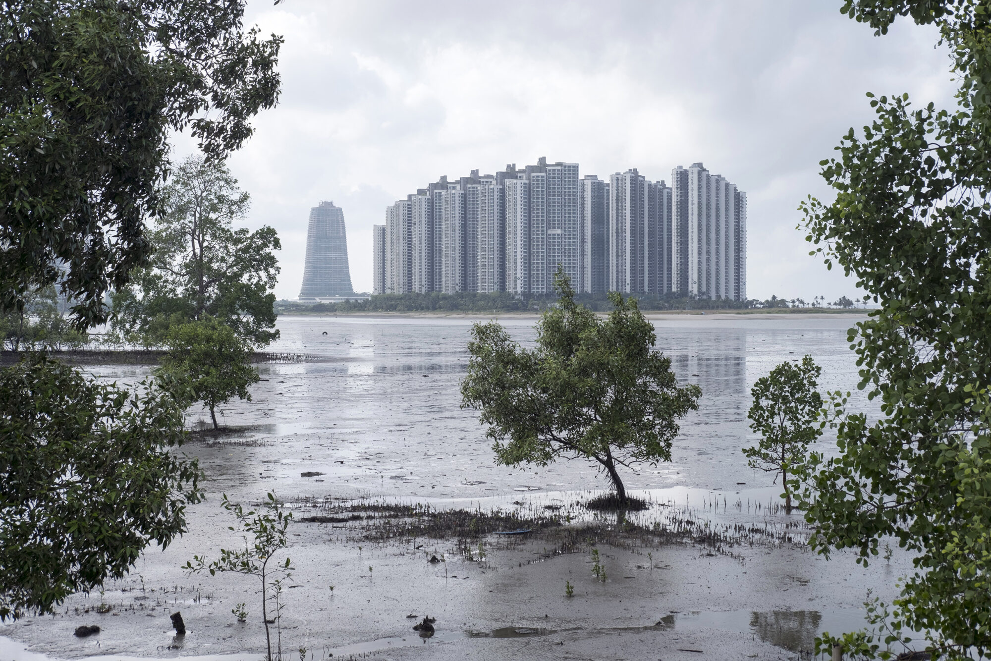 <p>Forest City Johor rises from the mudflats at the southern tip of Peninsula Malaysia near the border with Singapore. The development is being built on reclaimed land, destroying areas of ecological importance, including mangroves and seagrass. (Image: <a href="http://www.alexandra-radu.com/">Alexandra Radu</a> / China Dialogue)</p>