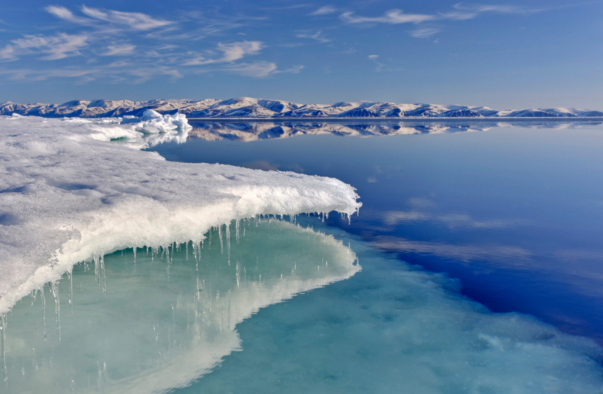 <p>Governments have agreed to ban commercial fishing in the high seas area of the Central Arctic for at least the next 16 years (Image © Bernd Roemmelt / Greenpeace)</p>