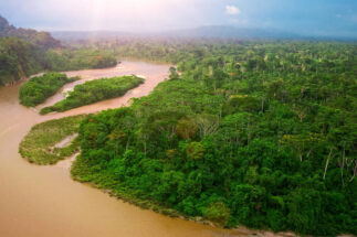 <p>El río Napo en la Amazonia ecuatoriana. Los canjes de deuda por naturaleza con China podrían beneficiar la conservación de los bosques y la rica biodiversidad de Ecuador, al tiempo que aliviarían la crisis de la deuda del país. (Imagen: Antisana / Alamy)</p>