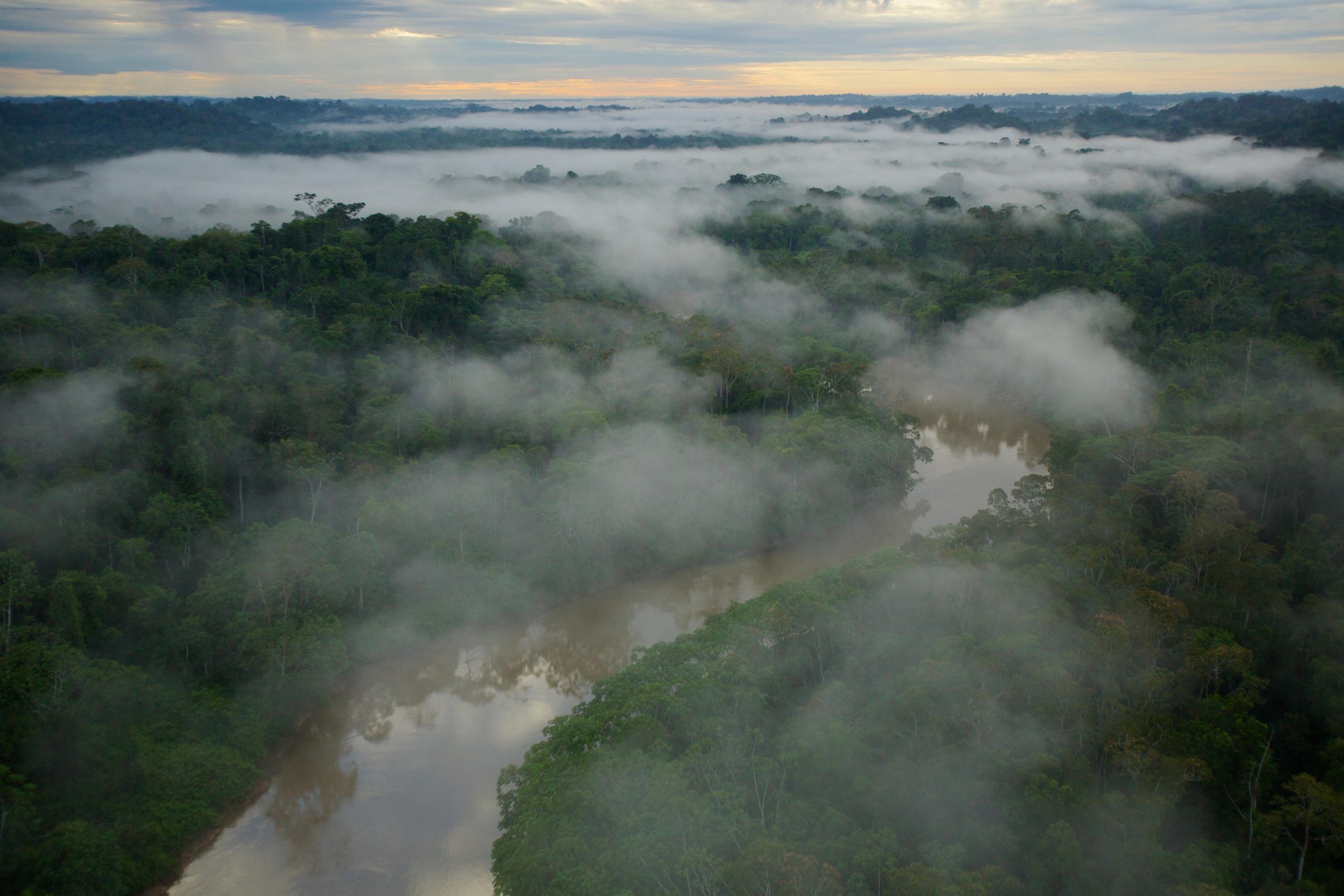Vista aérea de um rio e árvores, cobertos por nuvens.