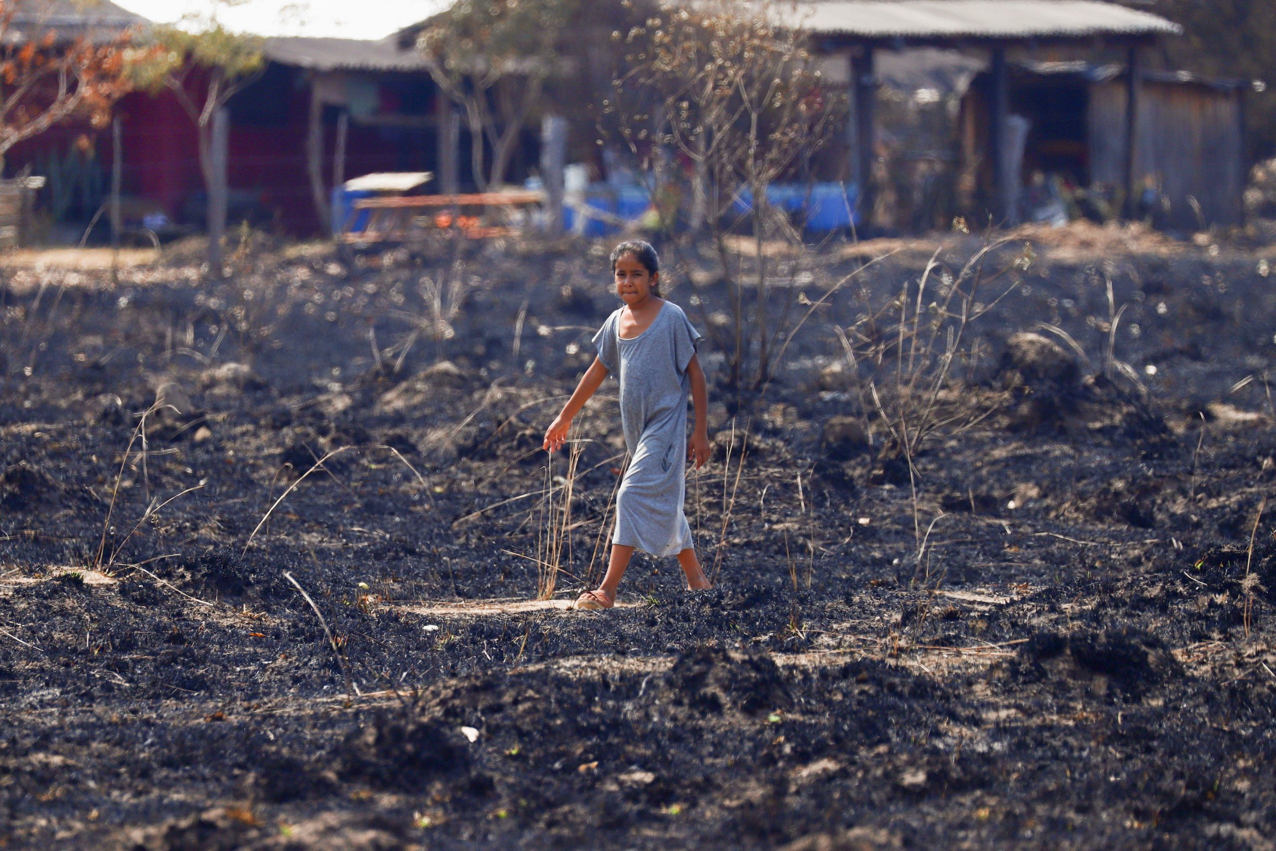 garota caminha pelo campo queimado