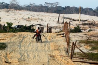 Motorcycle rides deforested area