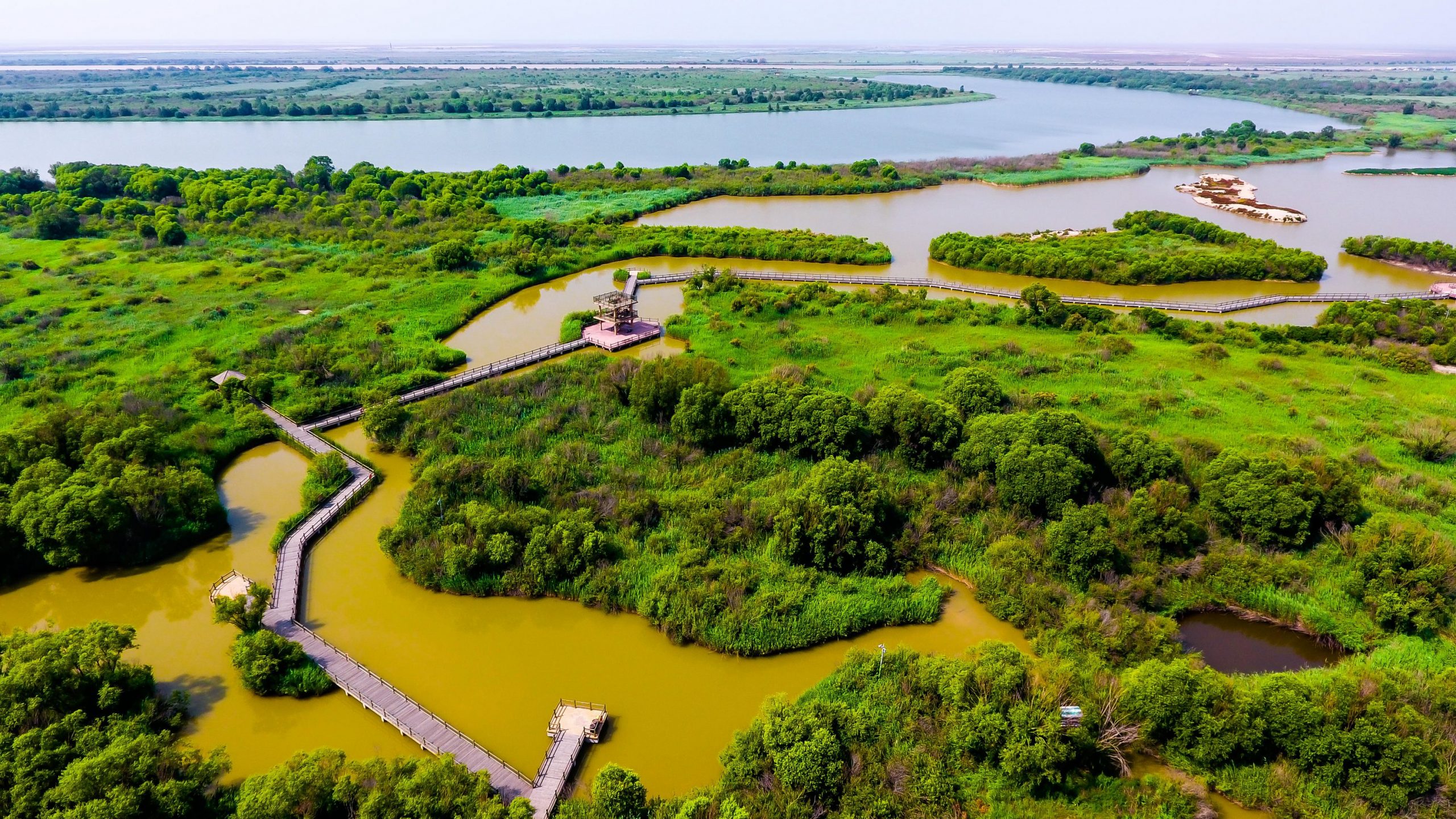 <p>The Yellow River delta. This area in Shandong province will be home to China’s first “integrated land–sea” national park. (Image: Almay)</p>