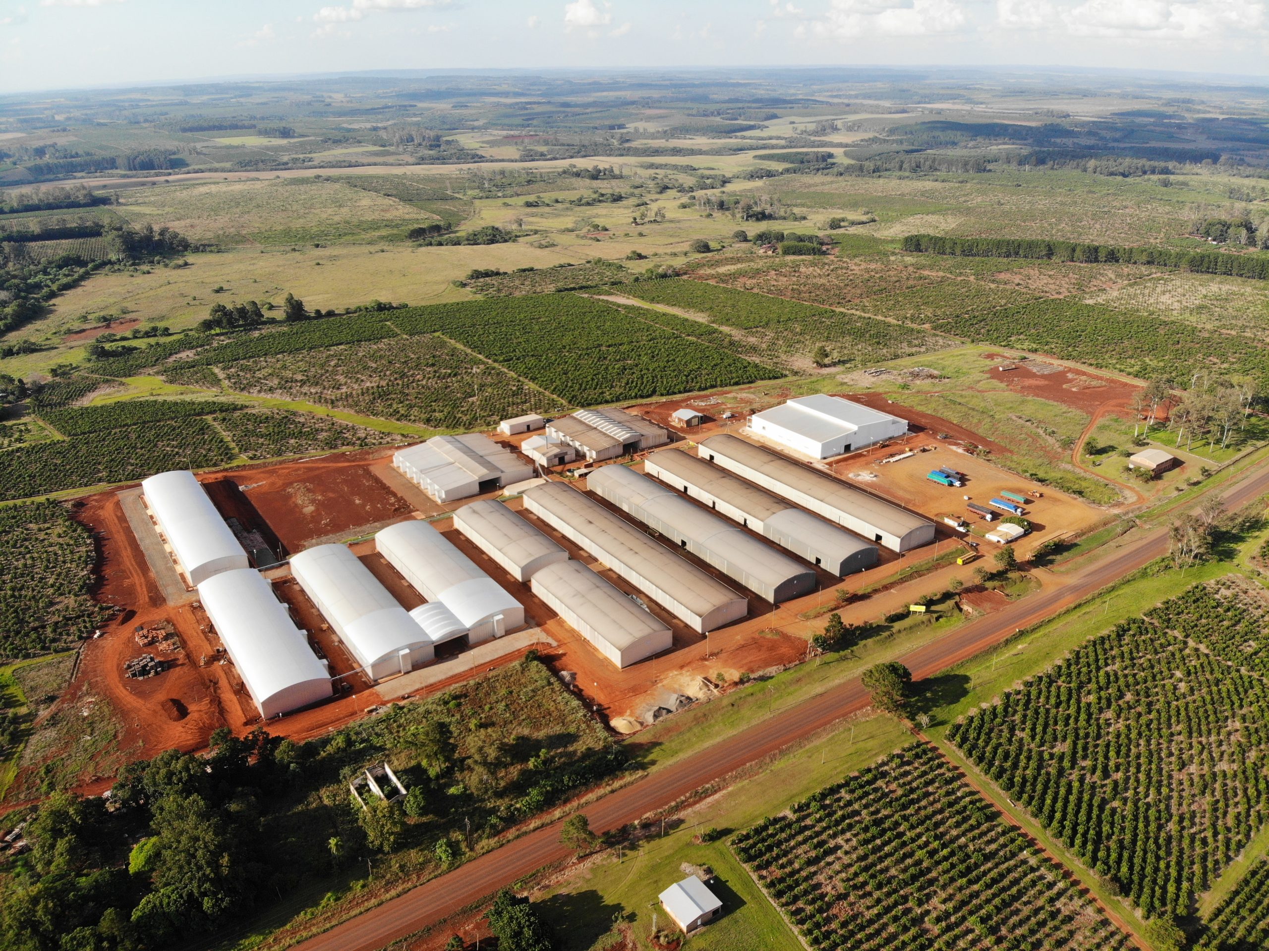 vista aérea de uma plantação de erva-mate e de uma fábrica de processamento