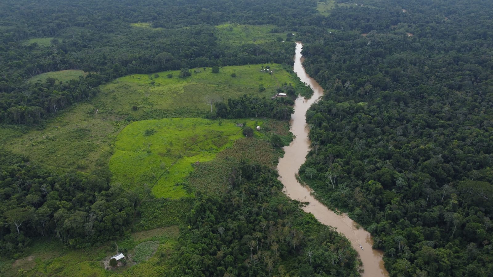Imagem aérea de uma área com plantações e gado e, do outro lado de um rio, uma área arborizada.