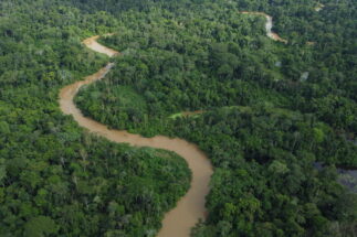 Aerial view of a river and wooded area in the Serra do Divisor National Park