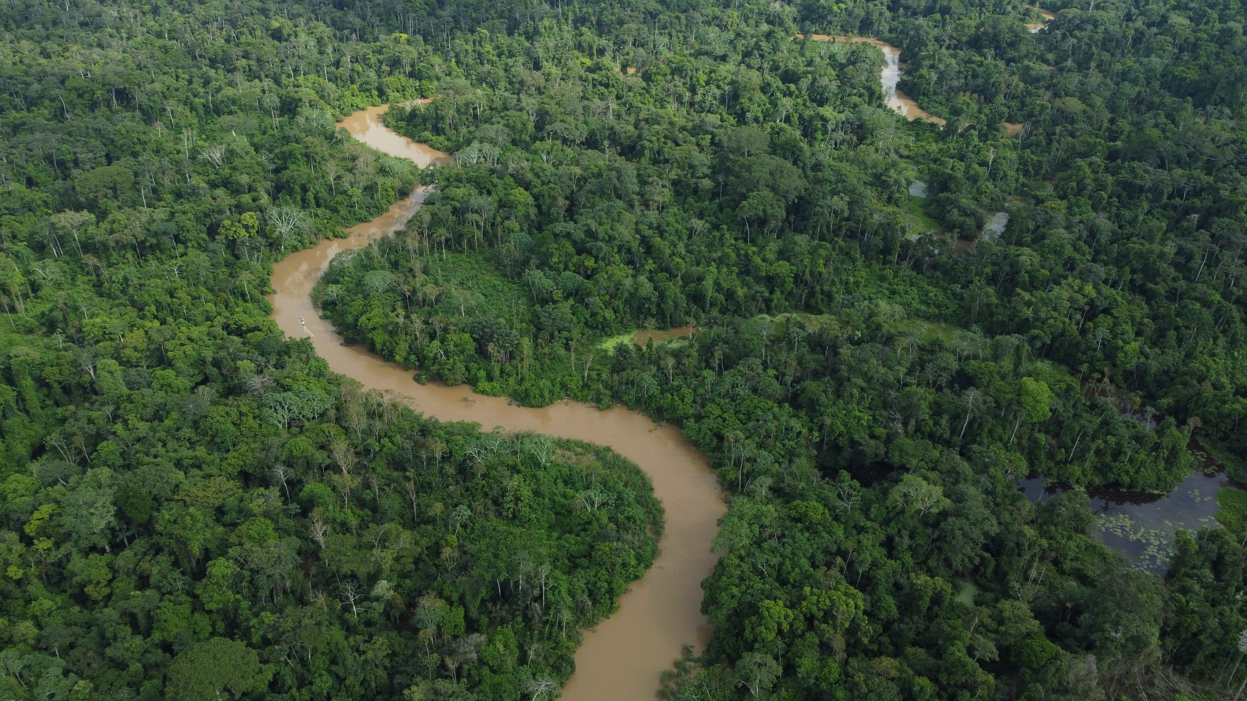 Vista aérea de um rio e de uma área arborizada no Parque Nacional da Serra do Divisor