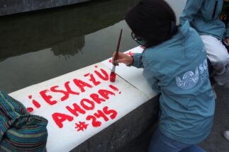 <p>Child paints a sign that reads &#8220;Escazú now!&#8221; at a demonstration outside Peru&#8217;s Judicial Palace (Image: Fotoholica Press Agency / Alamy)</p>