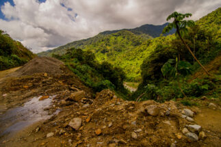 <p>A road in the Manu National Park in Madre de Dios, Peru. The new Cusco–Madre de Dios Road Corridor will cross the park’s buffer zone, but there are concerns over impacts on indigenous groups in voluntary isolation in this corner of the Amazon (Image: Amazon-Images / Alamy)</p>