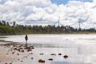 A person walking in front of the sea, with windmills in the background.