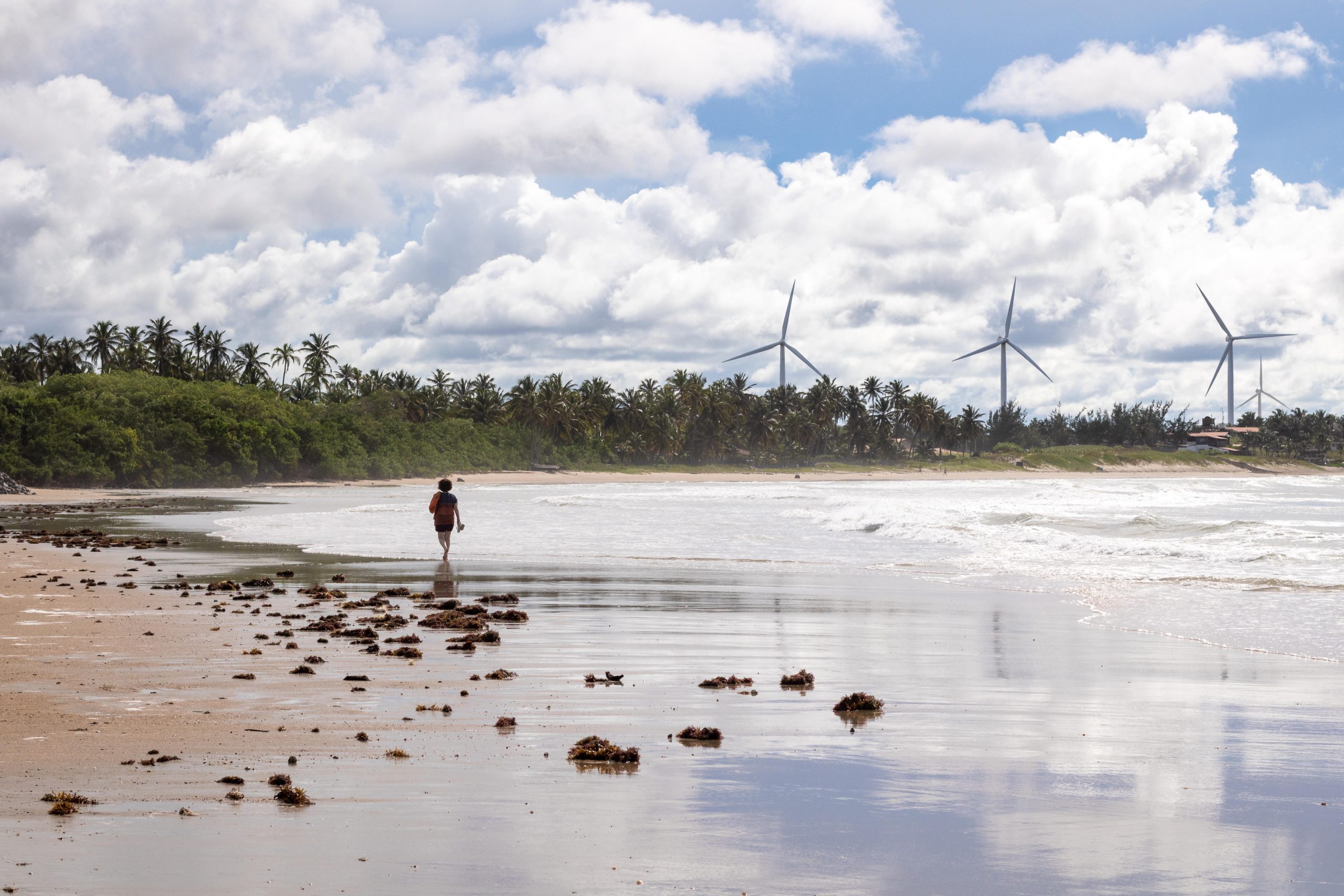 <p>Turbinas eólicas no Ceará. O país continua sendo o mercado mais atraente da América Latina para energia limpa: de todos os investimentos em energias renováveis na região, 65% estavam concentrados no Brasil (Imagem: Eduardo Teixeira / Alamy). (Imagem: Eduardo Teixeira / Alamy)</p>