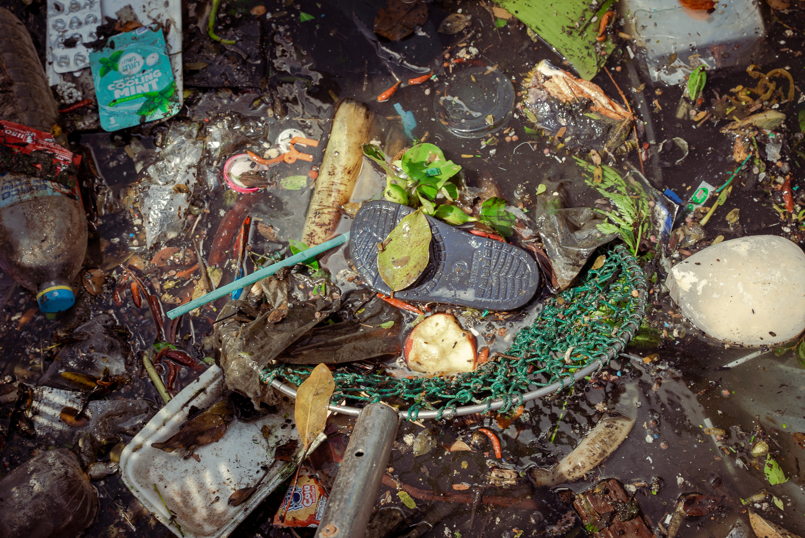 water saturated with litter of varying sizes