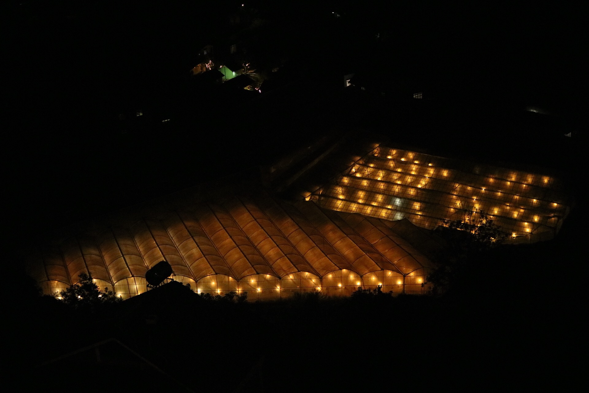 lit up greenhouses at night