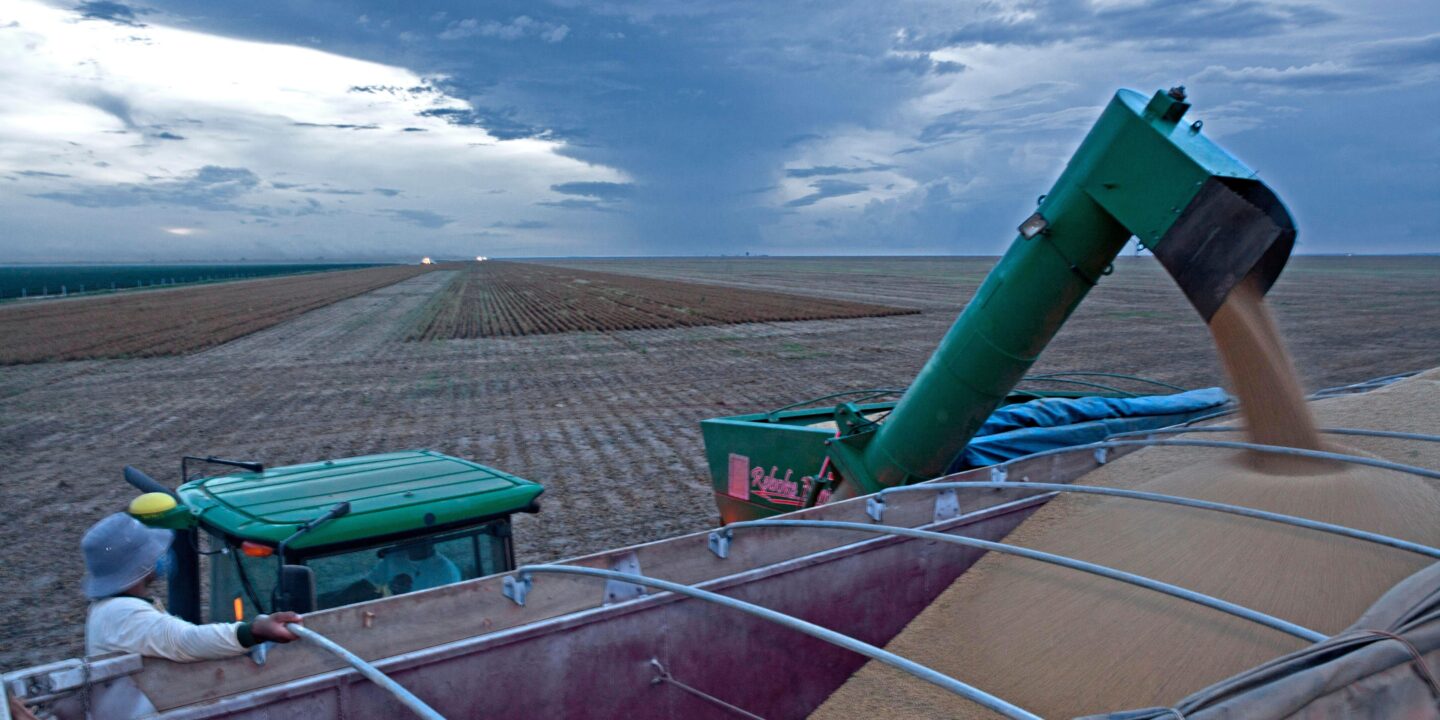 <p>Cosecha de soja en Luís Eduardo Magalhães, estado de Bahía, Brasil. (Imagen: imageBROKER / Alamy)</p>