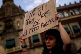 A woman holds up a sign saying "No to the Mayan train, yes to the spider monkey".
