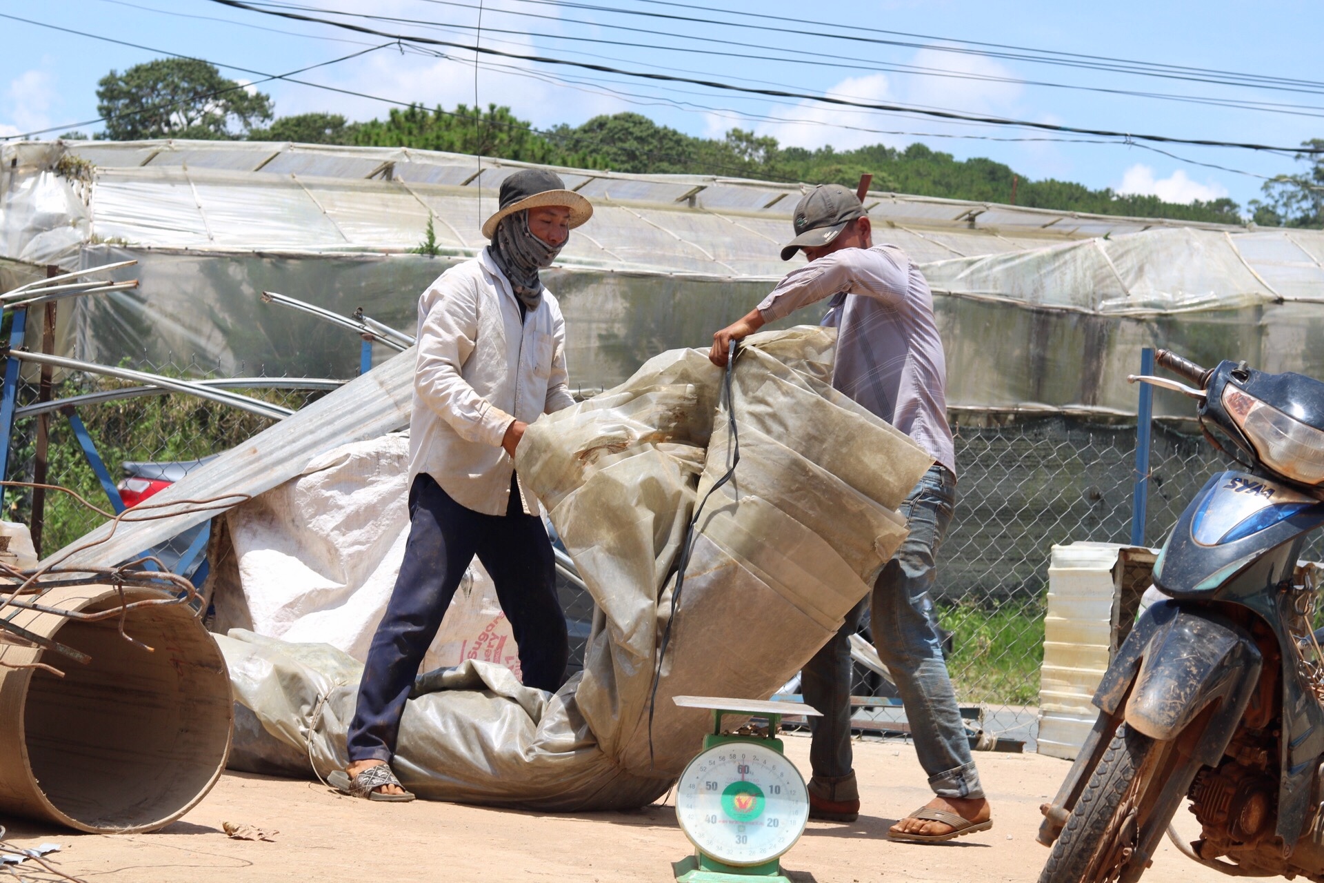 people dragging rolls of plastic sheets