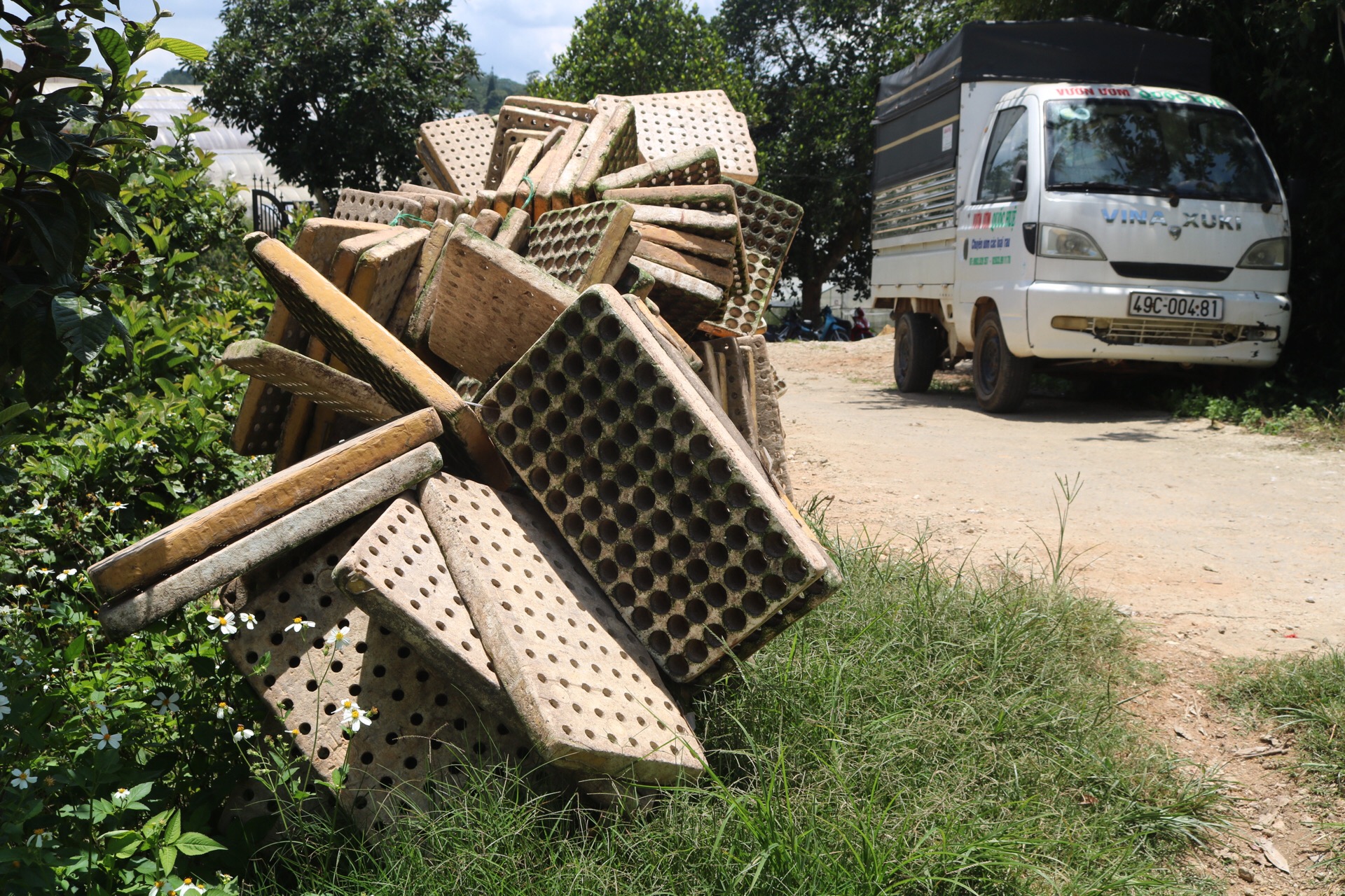 pile of styrofoam trays at the side of a road