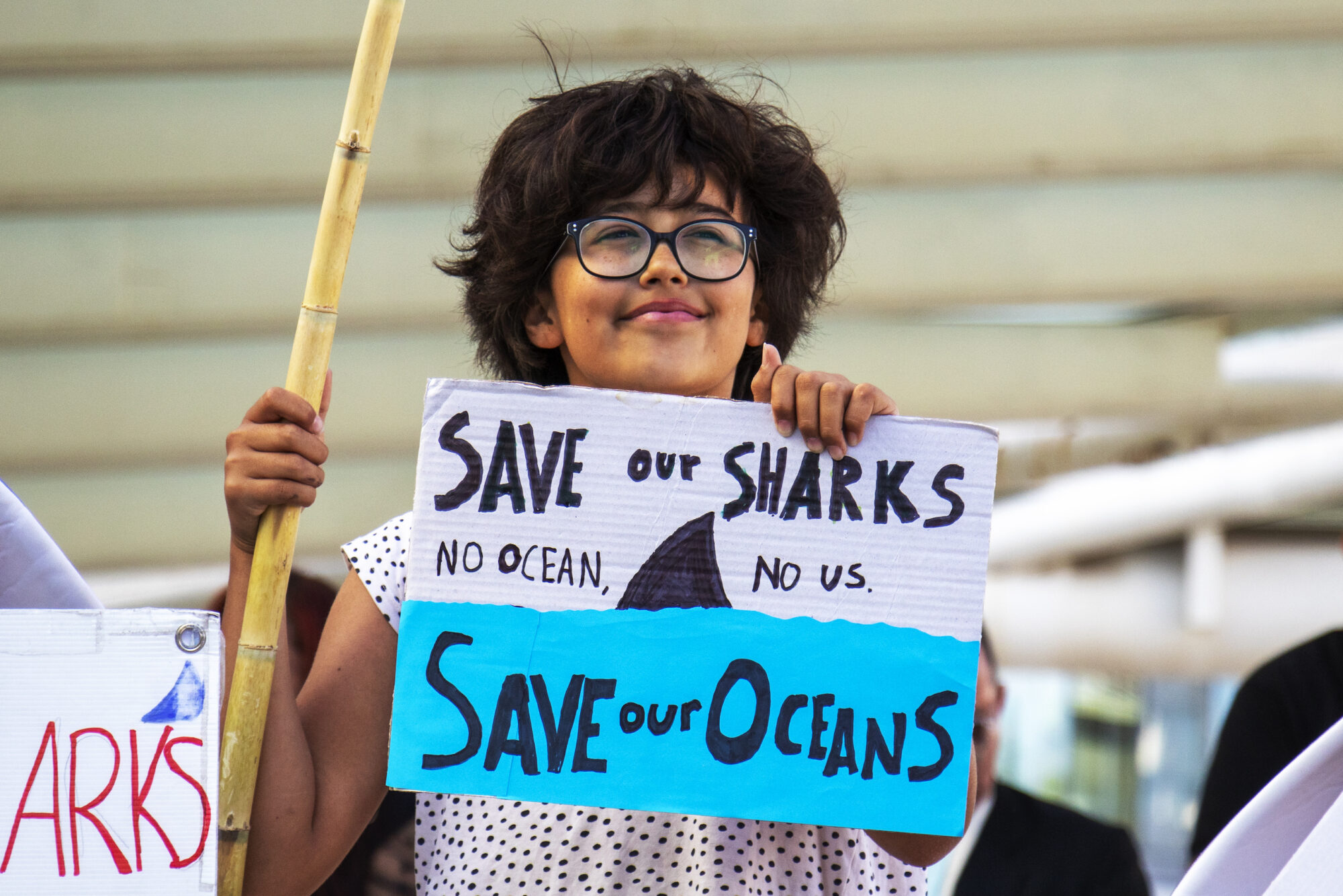 Uma garota com uma placa dizendo "save our sharks, save our oceans" (salve nossos tubarões, salve nossos oceanos")