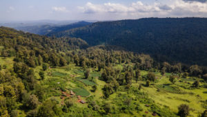 An Ogiek settlement in Kenya’s Mount Elgon National Park