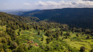 <p>An Ogiek settlement in Kenya’s Mount Elgon National Park. The indigenous group consider this government-managed area part of their ancestral lands. (Image: Stephen Nderitu)</p>