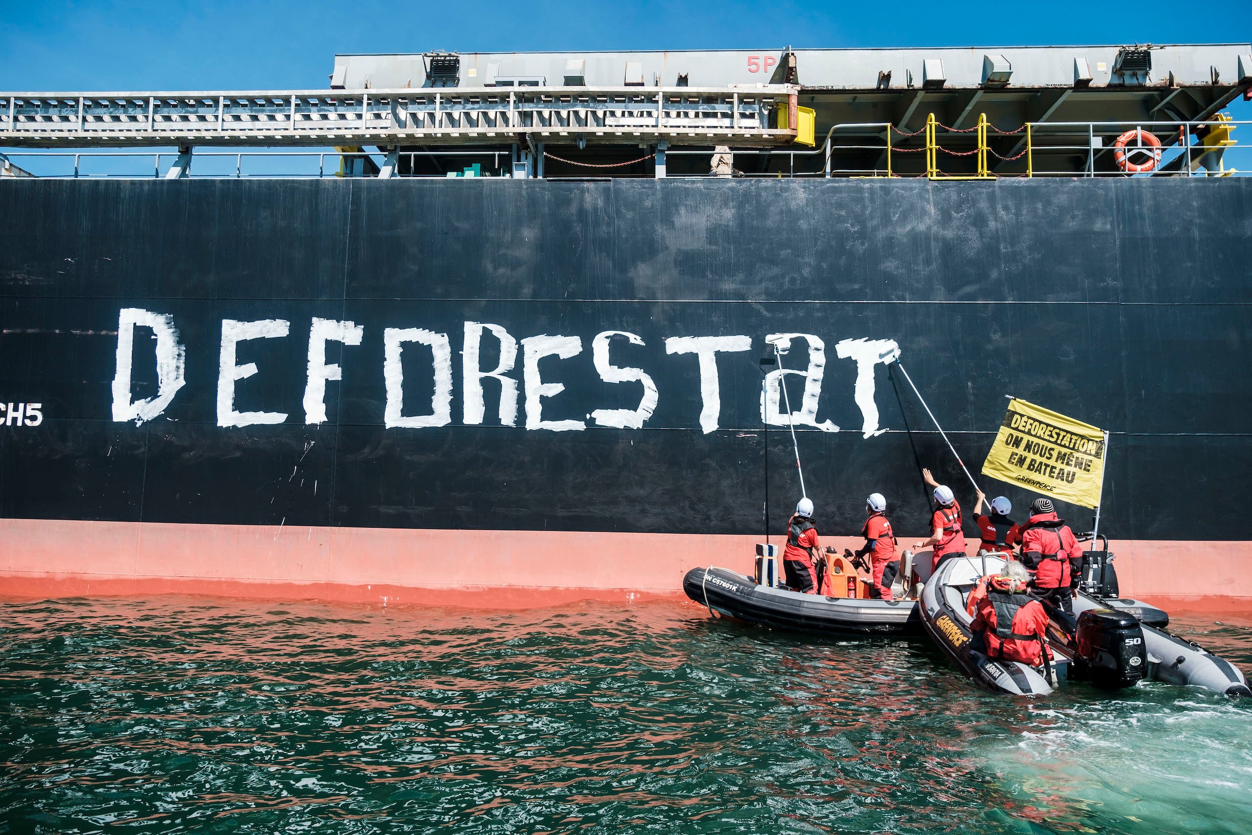 <p>Greenpeace activists paint STOP DEFORESTATION on a ship bringing soy to France from the Cerrado region of Brazil. The savannah biome has seen record deforestation in recent years, as land is cleared for soybean monoculture. (Image © Simon Lambert / Greenpeace)</p>