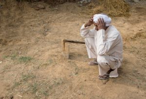 <p>Climate change threatens not just the amount of food that Indian farmers can grow, but also its nutritional quality (Image: Alamy)</p>