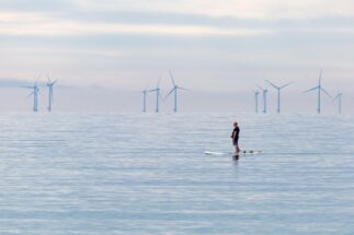 A person standing on a board looks out over an offshore wind farm.