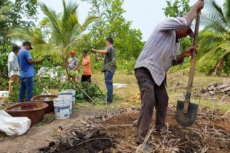 <p>Beneficiários do programa Sembrando Vida trabalham em terreno de Tapachula, no México (Imagem: José Torres / Alamy)</p>
