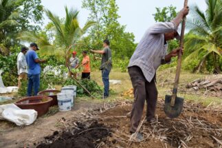 <p>Central American migrants work to create organic material to be used as fertiliser for plants, on a Sembrando Vida plot in Tapachula, Mexico (Image: José Torres / Alamy)</p>