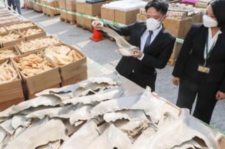 empleados de la aduana de Hong Kong inspeccionan pescados