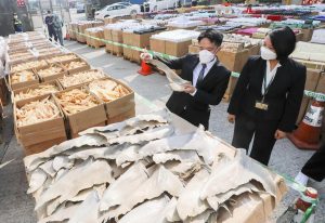 Two Hong Kong customs officials in suits inspect shark fins and totoaba fish bladder (maw) in front of boxes of smuggled items