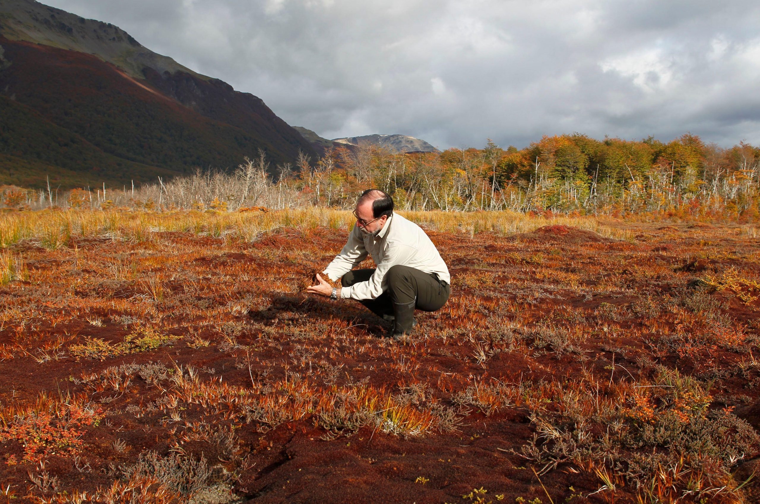 <p>Rodolfo Iturraspe, engenheiro da Gestão das Bacias Hidrográficas e Recursos Naturais da província argentina de Tierra del Fuego, recolhe amostras de turfa em áreas úmidas. O Sul Global está subrepresentado na ciência climática internacional (Imagem: Kristin Palitza / Alamy)</p>