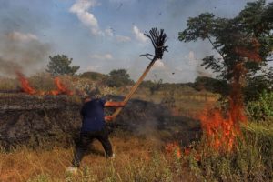 A resident of Xinyao village, Jiangxi province, attempts to put out a brush fire during this summer’s record-breaking drought in China