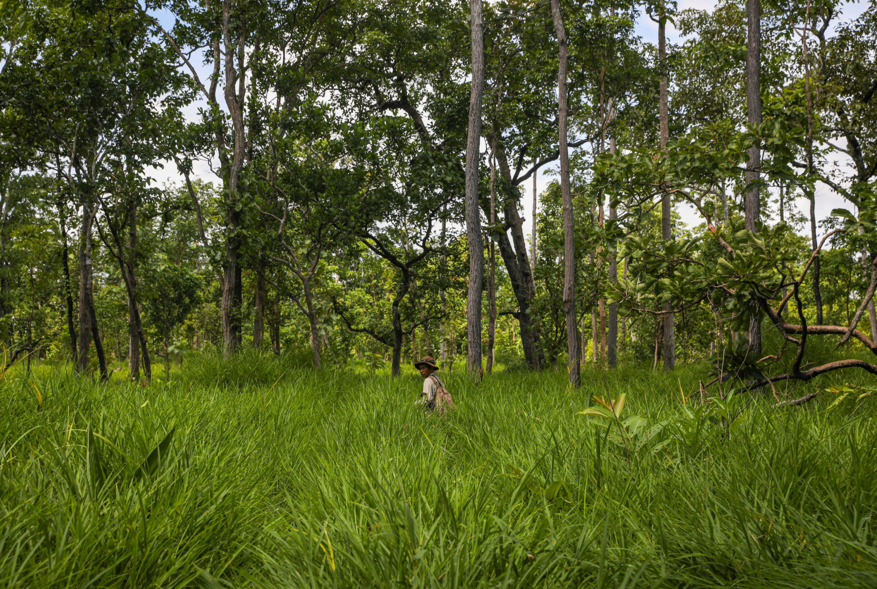 man standing in tall grass in forest clearing