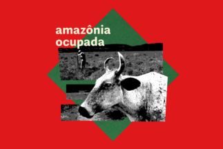 gráfica amazonia ocupada capítulo 2